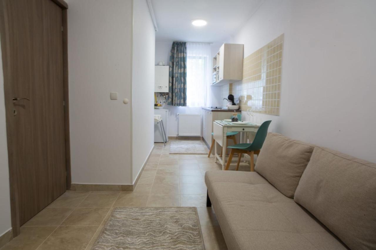 Vlad Apartments -Colina Marei シナヤ エクステリア 写真